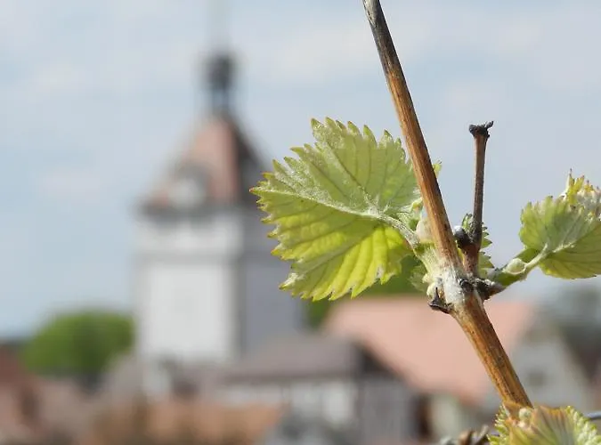 Gaestehaus Am Westtor Locanda *